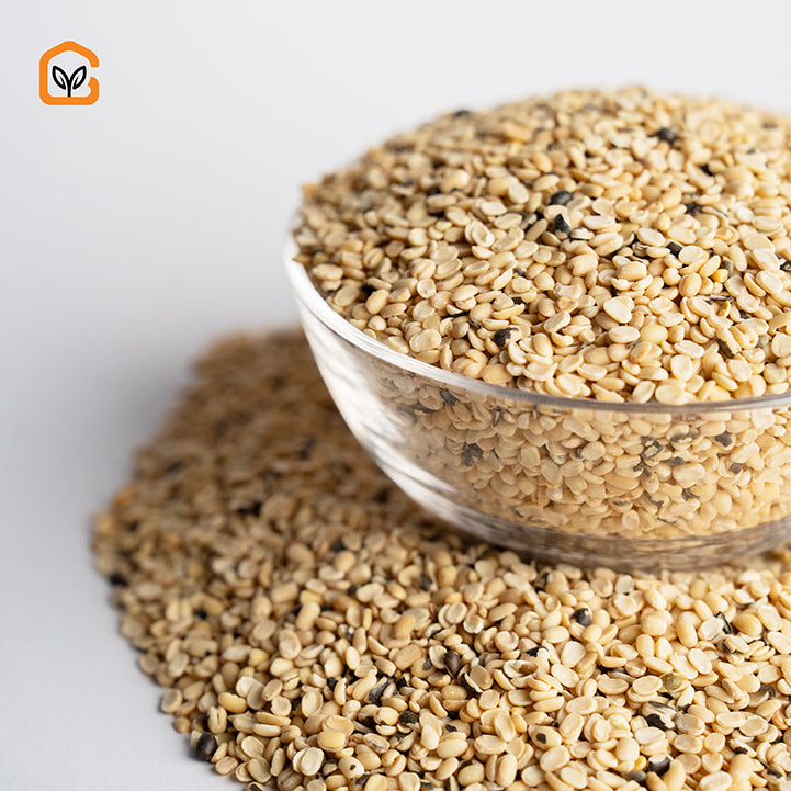 Robust human-resource GraphicInterface-5